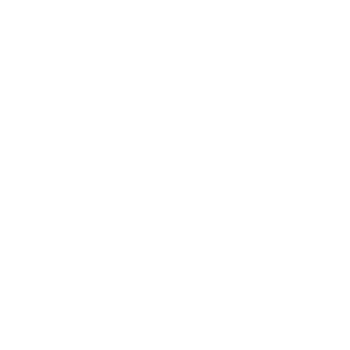 icon 02