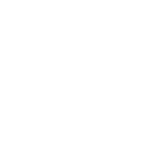 icon 03