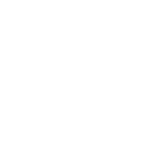 icon 04